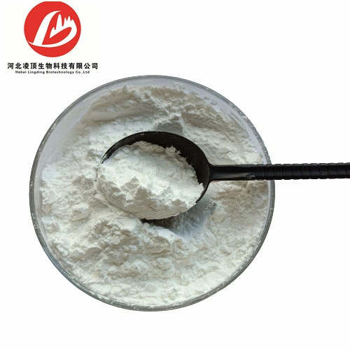 Hot Sale 2, 6-Di-O-Methyl-Beta-Cyclodextrin Powder CAS 51166-71-3